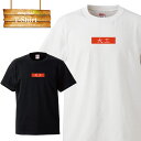 tシャツ ティーシャツ 職人 専門職 親方 大工 棟梁 仕事着 現場 施工 おもしろT 半袖 人気 面白 ネタ パロディ 大きいサイズ