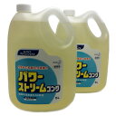 業務用洗剤 花王パワーストリームコンク(5リットル×2本セット) 食器・野菜用洗剤(無香料)(北海道・沖縄への発送は行っておりません)