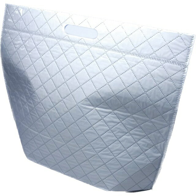 （個人宅発送不可）チャック付プレミアム保冷袋（スカイブルー/L）（100枚） 440×345×150mm (お届け時間指定不可)（メーカー直送品）（北海道・沖縄への発送は行っておりません）