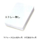 マドレーヌ白ム地 20ケ