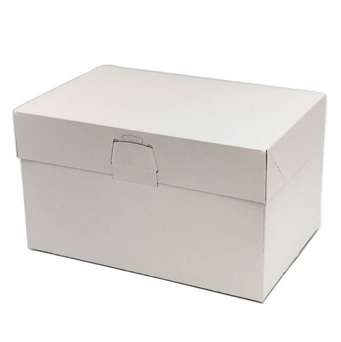 ロックBOX105 プレス 6×8（200枚） 180×240×105mm （光沢白） ケーキ箱 ロックボックス パッケージ中澤（北海道・沖縄への発送は行っておりません）