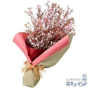 春のお誕生日 お祝い 入学 卒業 就職 退職 記念日 花キューピットのさくらの花束mx00-511215