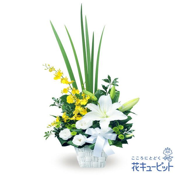 【15時迄の注文で翌日届可】お供え・お悔やみの献花 仏花 供花 法要 法事 仏事 弔事 枕花 お盆 お彼岸 初盆新盆 四十九日 一周忌 花キューピットのお供えのアレンジメントyr00-511913