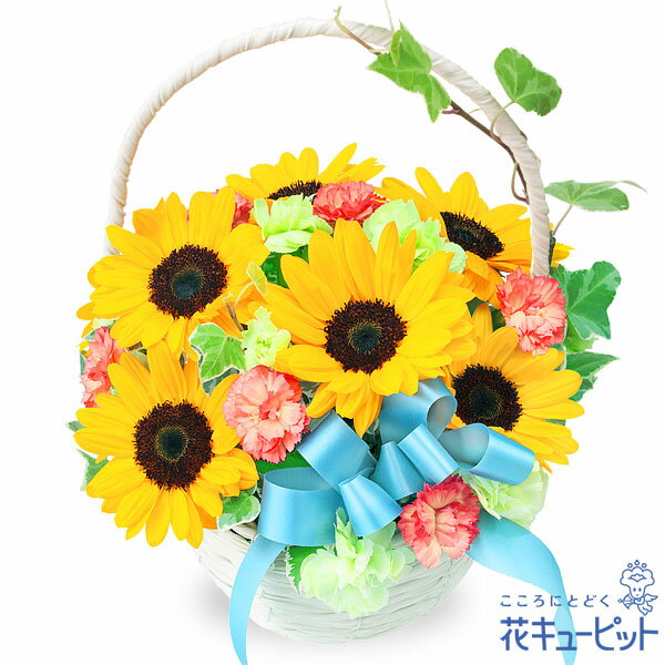 7月の誕生花（ひまわり） 花 ギフト 誕生日 プレゼント 父