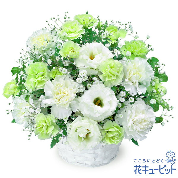 お供え・お悔やみの献花・お供えのアレンジメント 511972 ｜花キューピットのお花のギフトランキング