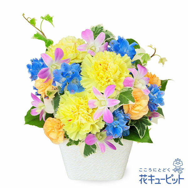 ペット用フラワーギフト・お供え 花 仏花 供花 法要 枕花花キューピットのお供えのアレンジメントng01-512132