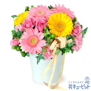 3月の誕生花（ピンクガーベラ） 誕生日 お祝い 記念日 プレゼント 家族 友人 花キューピットの2色ガーベラのナチュラルアレンジメントya03-512174