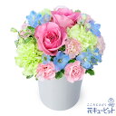 5月の誕生花（ピンクバラ） お花 お祝い 記念日 誕生日 お礼 プレゼント 女性 母 義母 祖母 父 男性 祖父 花キューピ…