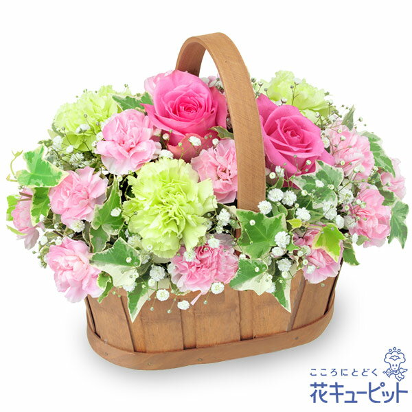 5月の誕生花（ピンクバラ） お花 お祝い 記念日 誕生日 お