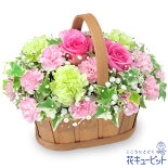 【5月の誕生花（ピンクバラ）】ピンクバラのハーモニーバスケット