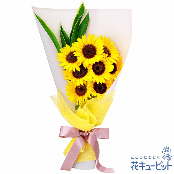 ひまわり ペット用フラワーギフト・お祝い 花 お祝い 記念日 誕生日 迎え入れ日 プレゼント 花キューピットのひまわり8本の花束nf01-512227