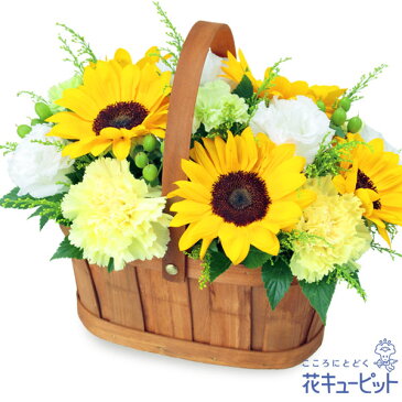 【8月の誕生花(トルコキキョウ)】 花 ギフト 誕生日 プレゼント 記念日 友達 彼氏彼女 父母 祖父母 花キューピットのひまわりのハーモニーバスケットya08-512235