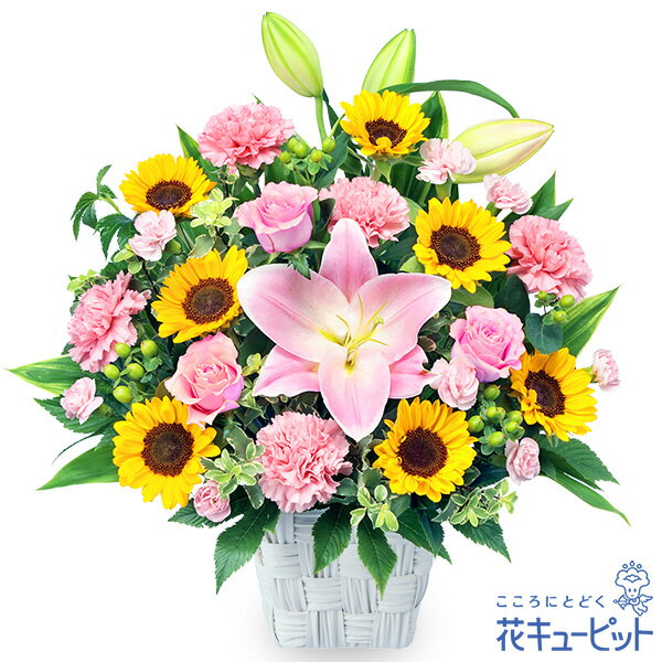 6月の誕生花（ユリ） 花 誕生日 お祝い 記念日 プレゼント