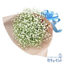 ペット用フラワーギフト・お祝い 花 お祝い 記念日 誕生日 迎え入れ日 プレゼント 花キューピットのカスミソウの花束nf01-512402