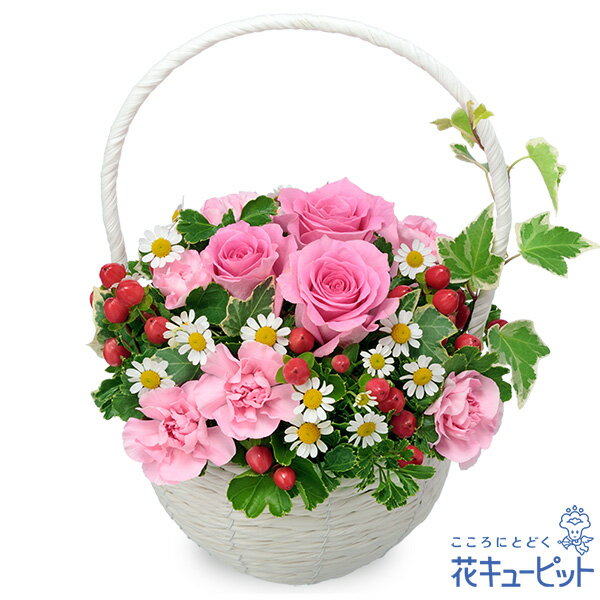 5月の誕生花（ピンクバラ） お花 お祝い 記念日 誕生日 お