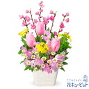 ひな祭りアレンジメント pn00-512642