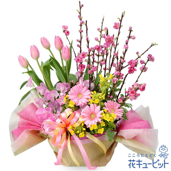 【ひな祭り】花キューピット ひなまつり お祝い 記念日 卒業 卒園 プレゼント ひなまつりのひし餅アレ..