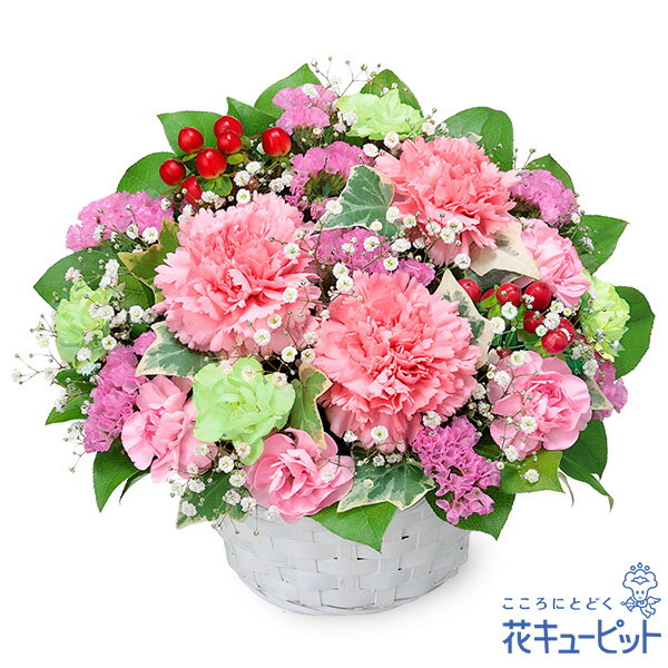 出産祝い 花 ギフト お祝い 記念日 ママ 赤ちゃん プレゼント花キューピットのピンクカーネーションのアレンジメントye00-512656