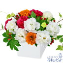 8月の誕生花(トルコキキョウ) 花 ギフト 誕生日 プレゼント 記念日 友達 彼氏彼女 父母 祖父母 トルコキキョウのキューブアレンジメントya08-512738