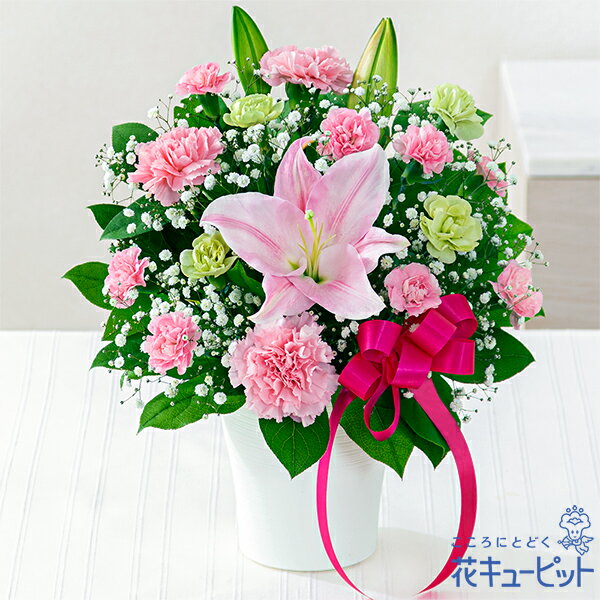 【母の日ギフト】花キューピット【日付指定可】 2026年 まだ間に合う プレゼント 花 女性 お母さん ママ 誕生日 60代 70代ピンクユリの母の日アレンジメントmt01yr-521361