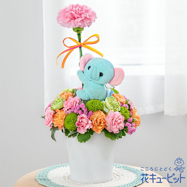 【母の日ギフト】花キューピット【日付指定可】 2026年 まだ間に合う プレゼント 花 女性 お母さん ママ 誕生日 60代 70代空色ぞうさんのマスコット付きアレンジメントmt01yr-521370