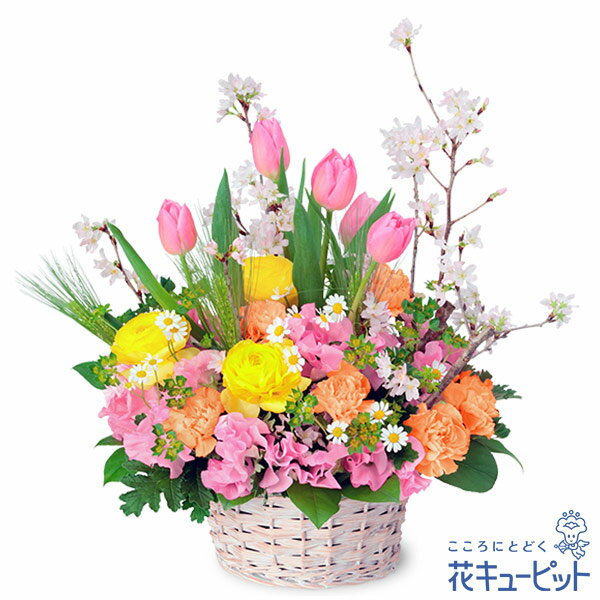 【卒園卒業・入園入学祝い】花キューピット お祝い 入学 卒業 就職 退職 記念日 桜のアレンジメントne00-523052
