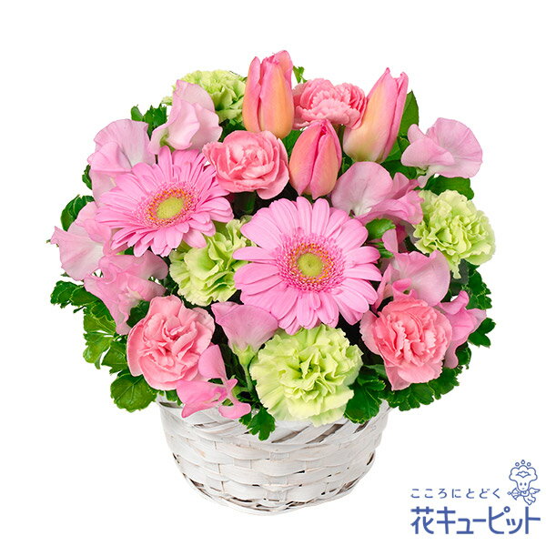 【2月の誕生花（チューリップ）】花キューピット 誕生日 お祝い 記念日 プレゼント 家族 友人 彼氏彼女..