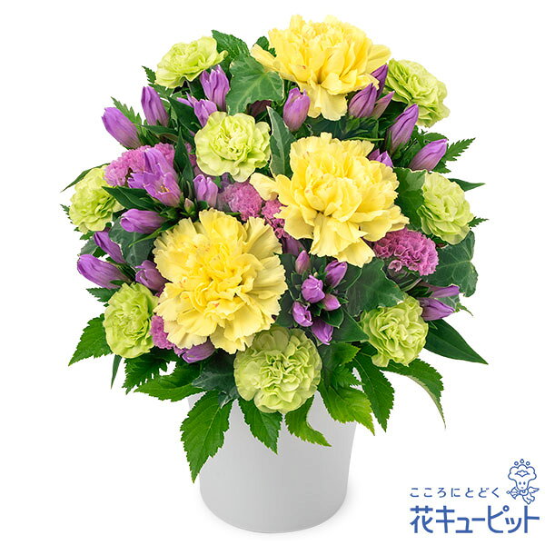 ■【お祝い】リンドウのアレンジメント（イエロー）　アレンジメント/ワンサイド　5390　円(税込)秋の花であるリンドウに黄色の花をあわせて、秋らしい色合いでまとめたアレンジメント。グリーンが多めのナチュラルな印象に仕上げました。飾りやすいサイズで、どんなお祝いの用途にもぴったりです。お祝いのメッセージも美しい花と一緒なら、いつまでも印象的に心に残ります。お届け先近くの花キューピットのお店から、メッセージカード付で直接お届けいたします。※商品価格にはご利用手数料990円（税込）が含まれております。※配達不能な区域がありますので必ずご確認ください。配達不能地域へのご注文についてはキャンセルとさせていただきます。【色合い】：ミックス【スタイル】：アレンジメント【主な花材】：ピンクリンドウ【サイズ】：高さ28×幅23×奥行18cm【こんなご用途に】：お祝い・退職祝い・歓送迎・還暦祝い・結婚祝い・結婚記念日・誕生日・お見舞い・出産祝い・開店・新築・引越し祝い ・入学・卒業祝い・ ご長寿・公演、発表会のお祝いご注文に関する注意事項※写真はイメージです。 地域・季節によって、一部花材・花器等が異なる場合がございます。商品価格にはご利用手数料990円（税込）が含まれております。※配達不能な区域がありますのでご確認ください。配達不能地域へのご注文についてはキャンセルとさせていただきます。※メッセージカードは無料にてお付けします。※メッセージカードにはお名前は入りません。必要な場合はメッセージ内にご記入ください。 『 無 料 メ ッ セ ー ジ ご 利 用 の 方 へ 』 　●「定型文をご利用の場合」　　・上記商品欄の【メッセージ】を選択　●「フリー入力をご利用場合」※産直ギフトはご記入していただいても、対応できません。　　・メッセージの入力場所：注文確認画面内の備考欄にございます、メッセージ入力欄にて承ります。　　・メッセージの文字制限：差出人のお名前を含み30文字まで。絵文字、機種依存文字などの文字は使用できません。　　※フリー入力をご利用の場合、上記商品欄の【メッセージ】で選択されたメッセージは記載されませんお届け日について※ご購入商品、お支払い方法により詳細が異なりますのでご注意ください。 ※コンビニ前払いの場合は：入金期限日前迄にご入金ください。※コンビニ前払いの場合、お花のご手配は入金後となります。期日までにお支払いが確認できない場合は、キャンセル扱いとさせていただきます。カード決済エラーによる入金遅延もこれに準じます。 注文後に送付されます【注文確認メール】に記載のある、支払い期日までにご入金ください。お届け先へ事前に在宅確認の連絡をする場合があります。なお、連絡がつかない場合は、ご指定の日時にお届けができない場合がございます。■コンビニ前払い際の注意ご注文後に、お支払い受付番号を記載したメールを楽天市場からお送りいたします。お支払いの際にはお支払い受付番号が必要です。※お届け希望日前日を過ぎての入金の場合、入金期限内でもお届け日を変更させていただく場合がございます。予めご了承ください。