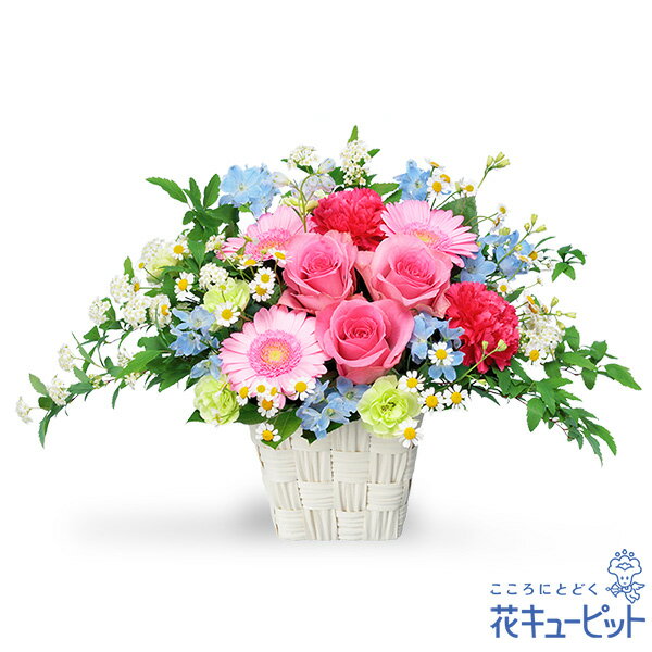 【開店祝い・開業祝い】花キューピット 花 ギフト 開設 移転 引越 記念日 お祝い プレゼントバラとガーベラのスプリングアレンジメントyf00-525277