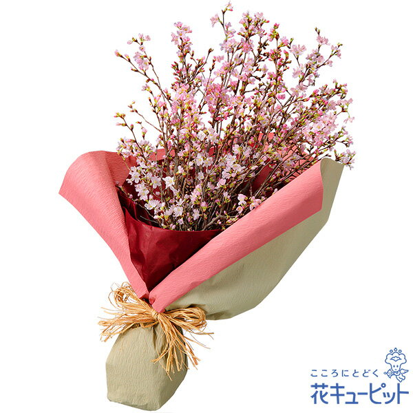 【誕生日フラワーギフト】花キューピット 花 誕生日 お祝い 記念日 プレゼント 彼氏彼女 夫婦 祖父母 友達 友人 さくらの花束ya00-525315