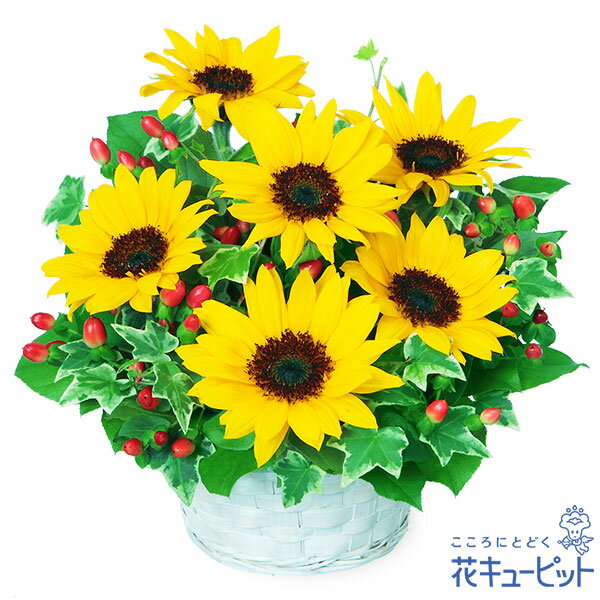 【父の日ギフト】花キューピット日付指定可 2026年 プレゼント ギフト お祝い 母の日 記念日 父...