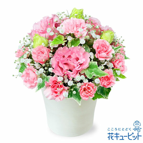 トルコキキョウ