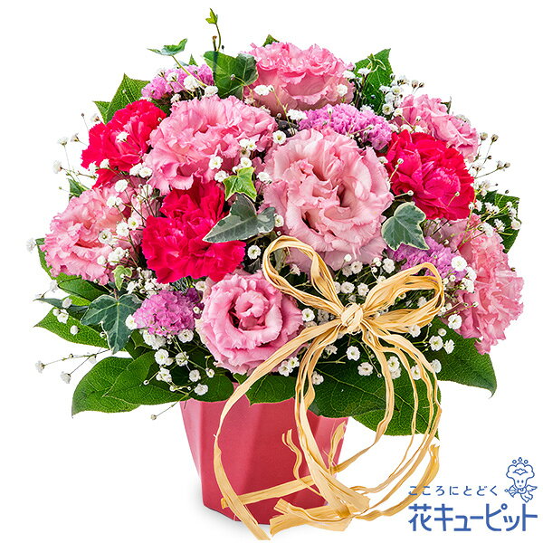 花キューピット 花 ギフト 誕生日 プレゼント 記念日 友達 彼氏彼女 父母 祖父母 ピンクトルコキキョウのハミングアレンジメントya08-526014