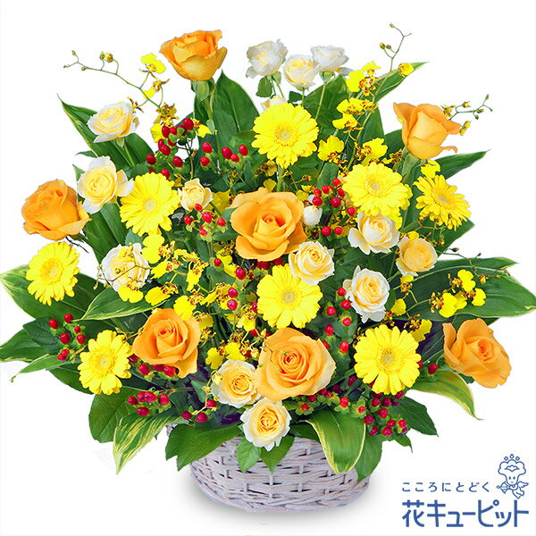 楽天市場 花キューピット 誕生日フラワーギフト イエローオレンジのアレンジメントya00 花 誕生日 お祝い 記念日 プレゼント あす楽対応 北海道 あす楽対応 東北 あす楽対応 関東 インターネット花キューピット