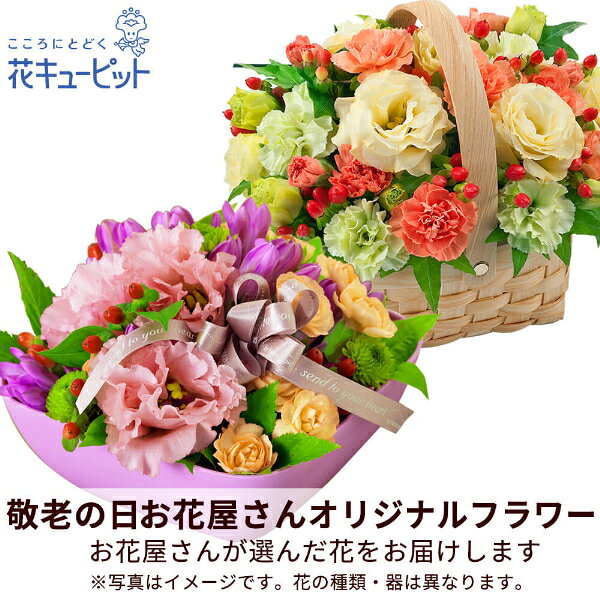 【母の日お花屋さんおすすめギフト】花キューピット【日付指定可】 2026年 まだ間に合う プレゼント 花 女性 お母さん ママ 誕生日 60代 70代【お花屋さんおすすめ】オリジナルアレンジmt20yr-map003