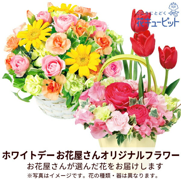 【ホワイトデー 花屋さんおすすめギフト】花キューピット お返し 夫妻 彼氏彼女 友達 【花屋オリジナル】ホワイトデーのアレンジメントmdo00-mdap004