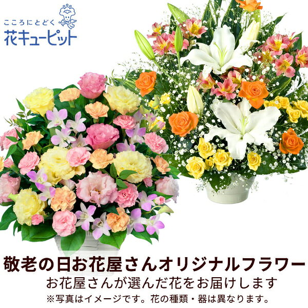 商品画像2