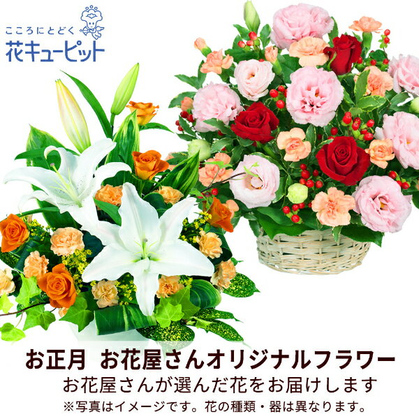 【お正月お花屋さんおすすめギフト】花キューピット 2026年 花 新年 賀正 年賀 正月飾り 挨拶 縁起物 玄関 巳年 迎春 ギフト プレゼント 【花屋オリジナル】お正月のアレンジメントppo00-ppap008