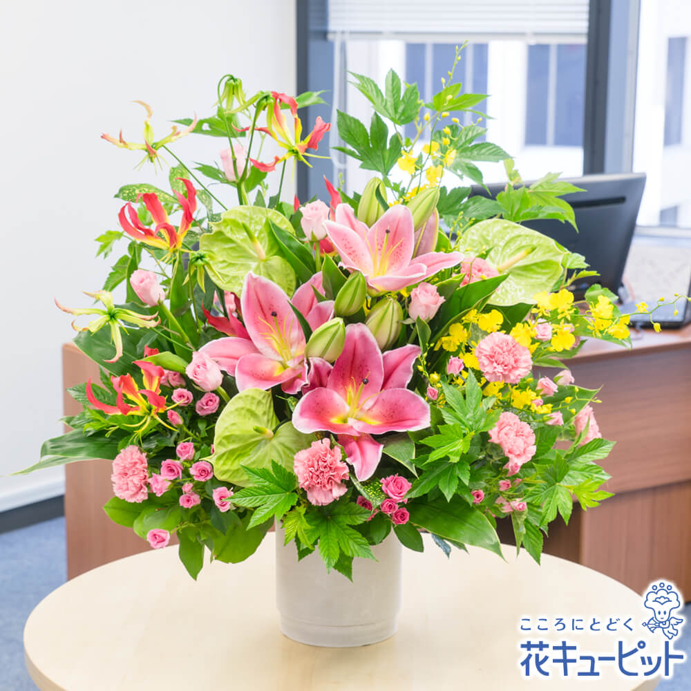 開店記念セール 花キューピット 開店祝い プレゼント 開業祝い ピンクの華やかアレンジメントyf00 ギフト 花 ギフト 開設 お祝い 移転 引越 記念日 お祝い プレゼント ネットキング 8f90aee7 Irishecoplumbing Com 開店記念セール 花キューピット 開店祝い プレゼント 開業祝い ピンクの華やかアレンジメントyf00 ギフト 花 ギフト 開設 お祝い 移転 引越 記念日 お祝い プレゼント ネットキング 8f90aee7 Irishecoplumbing Com