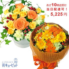 https://thumbnail.image.rakuten.co.jp/@0_mall/i879/cabinet/q04999.jpg