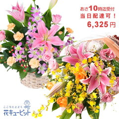 https://thumbnail.image.rakuten.co.jp/@0_mall/i879/cabinet/q05999.jpg