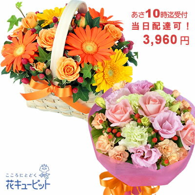 楽天市場 花キューピット 当日配達おまかせ お祝い 誕生日など クイックフラワーギフトycqu Q 退職 歓送迎 還暦 結婚 出産 開店 入学 卒業 発表会 インターネット花キューピット