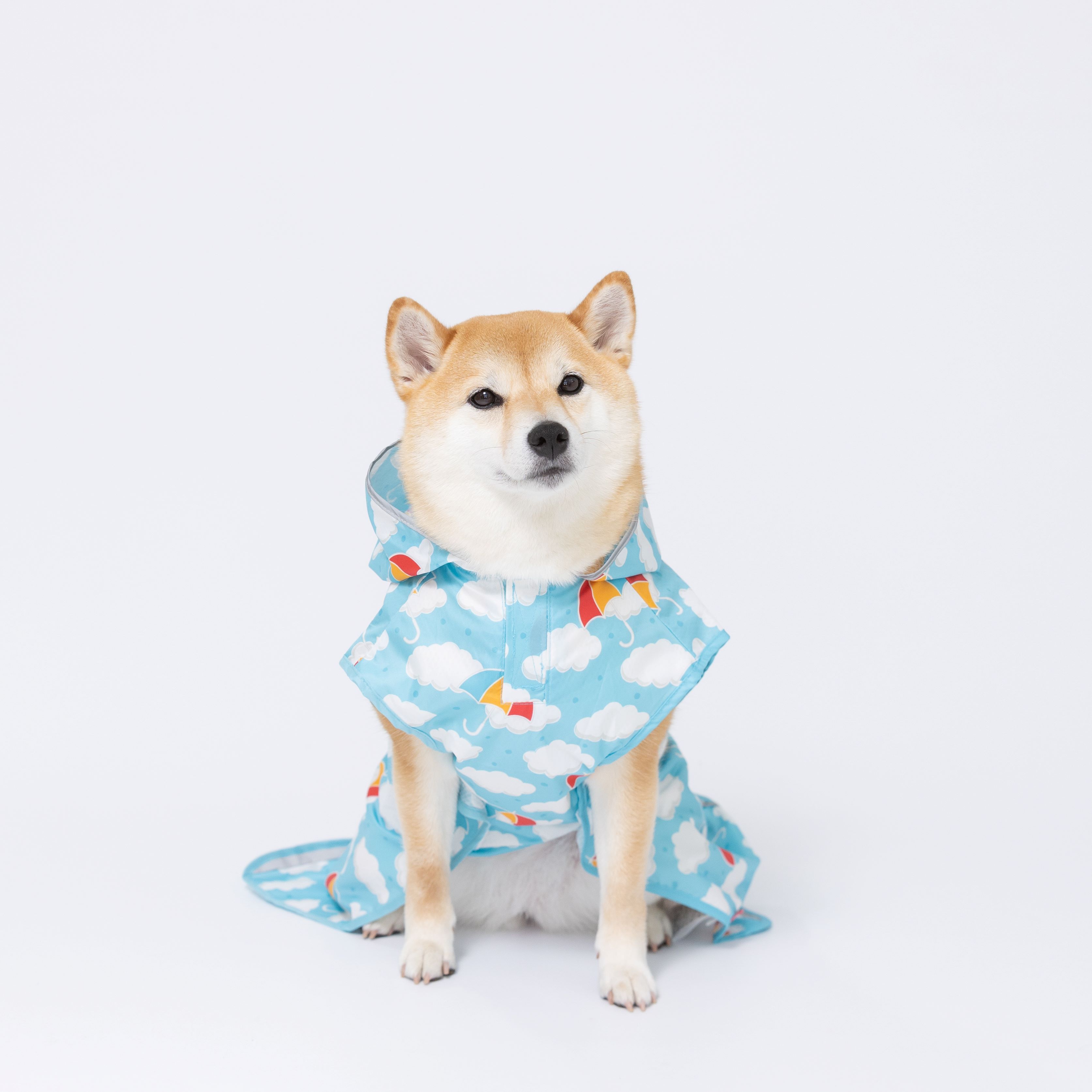 【最大30%OFFクーポン】【PiPi】 レインコート カモフラ/いちご/シトラス/傘 pp233...