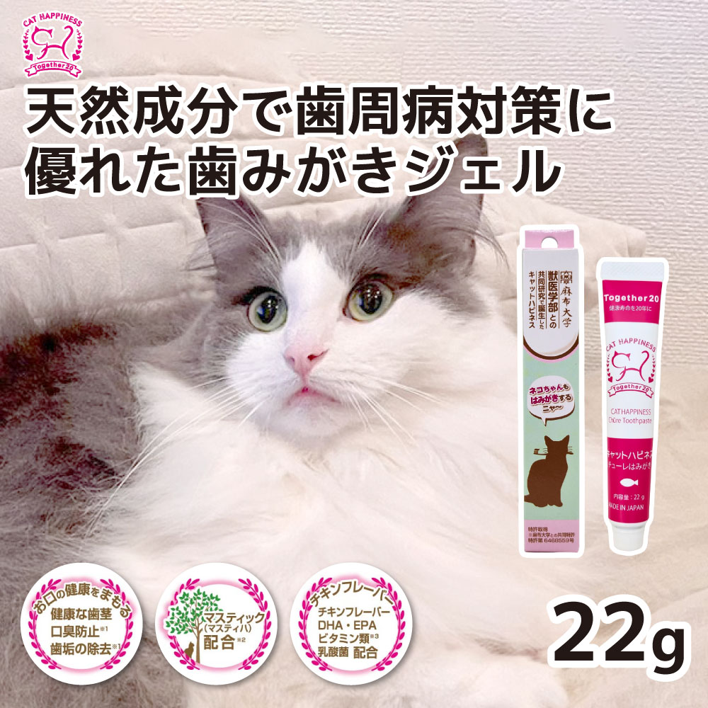 【ソーシン】キャットハピネス チューレはみがき22gデンタルケア用品 歯磨きジェル 猫用