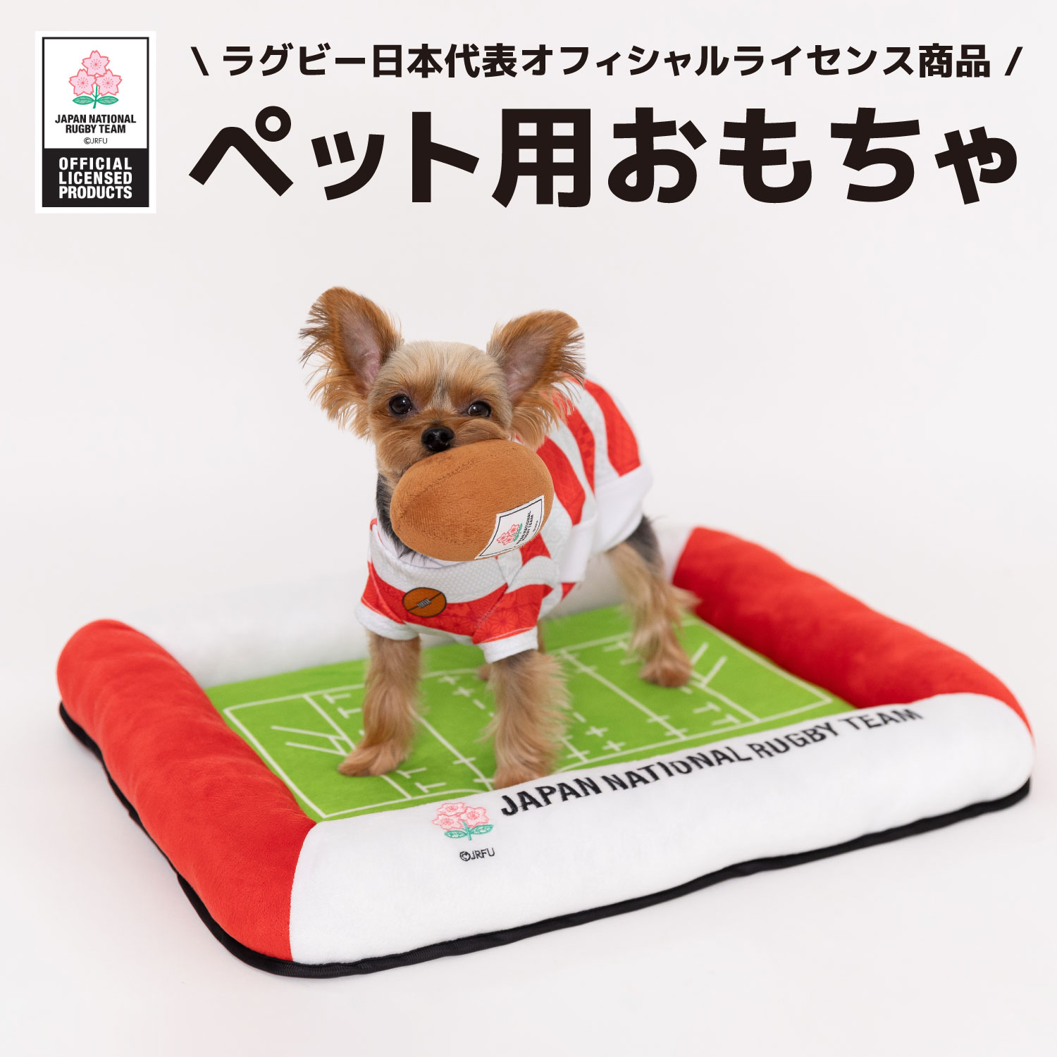 ラグビー日本代表 ボールトイrn233-071-001犬のおもちゃ 猫のおもちゃ 犬 いぬ 猫 ねこ ネコ ペット お..