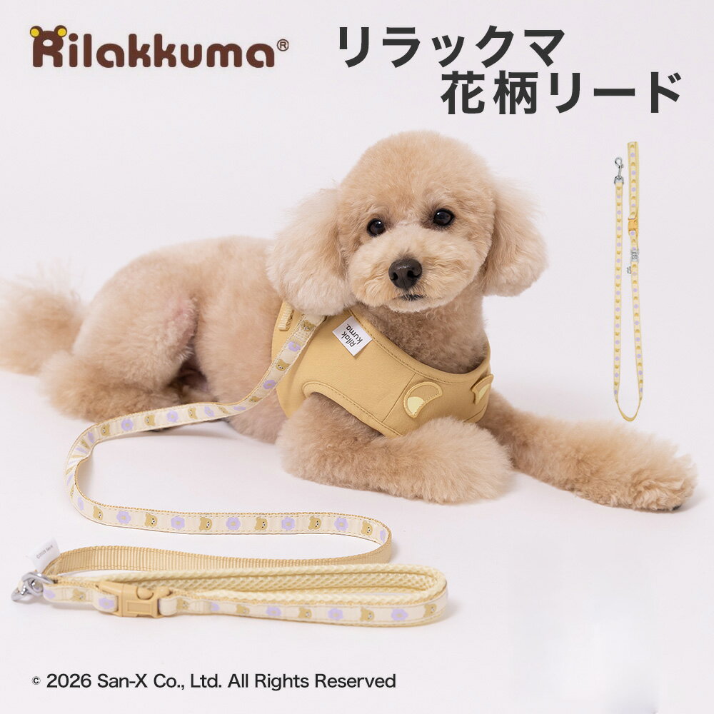 激レア　リラックマ　ケース　花柄　☆未使用品☆ sx263-141-a_x.jpg