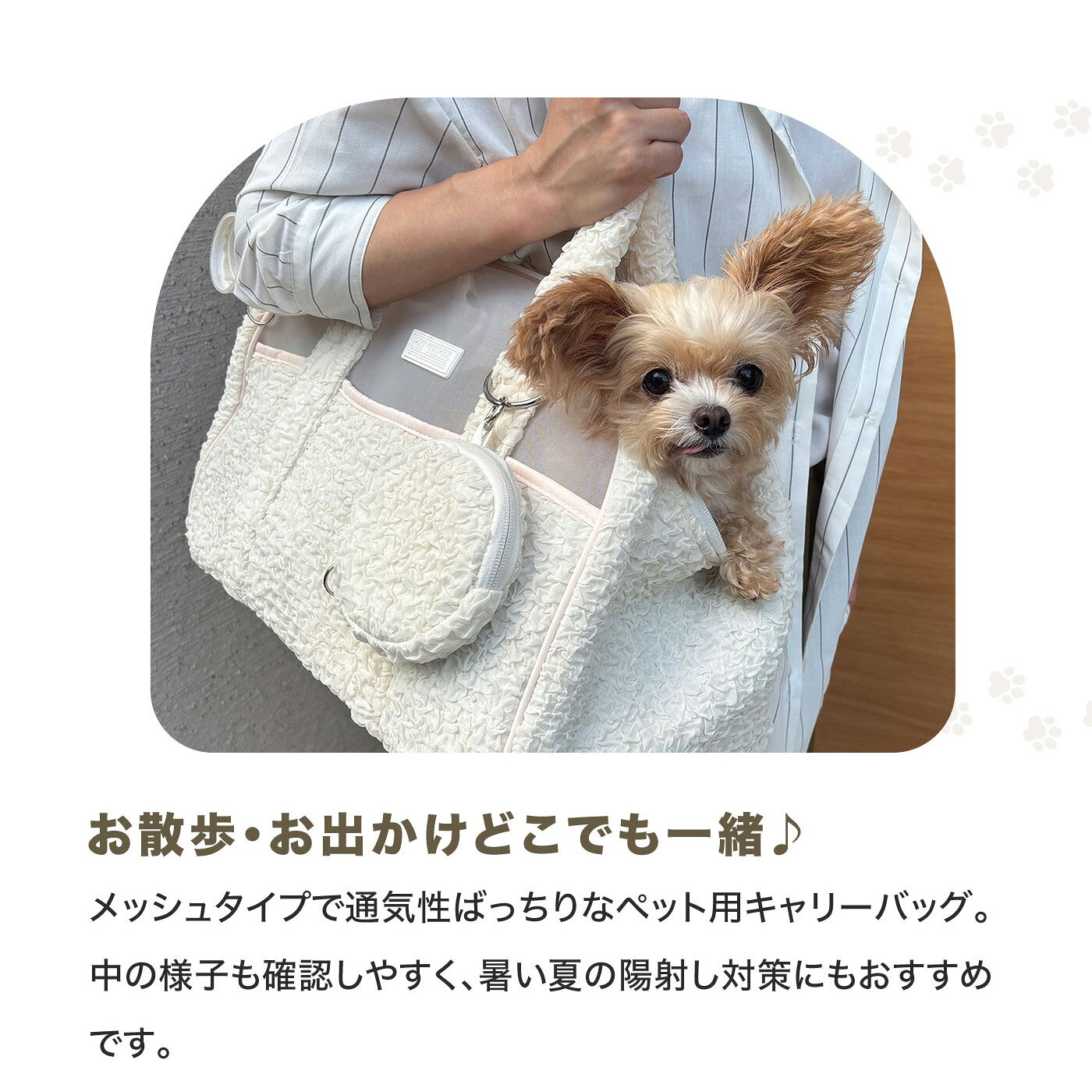 【20％OFFクーポン】【 PET THREE 】メッシュキャリーバッグ ペットバッグ ペット...