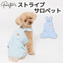 【2点購入で10％OFFクーポン】【 PiPi 】ストライプ サロペット PP241-021-028犬 いぬ 犬服 ペットウェア ドッグウェア 春服 夏服 春夏服 ミニチュアダックス 日焼け対策 おしゃれ かっこいい つなぎ オーバーオール 重ね着