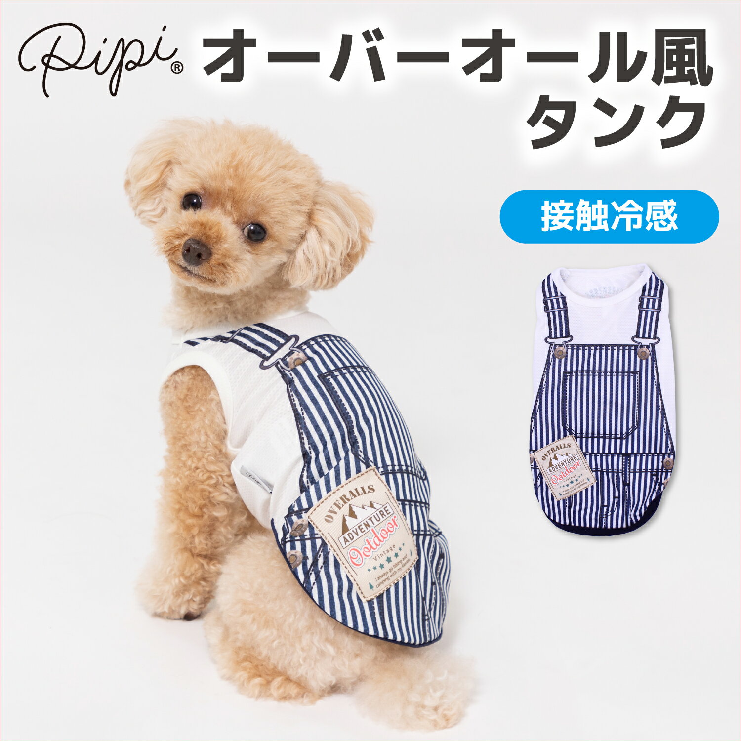 【2点購入で10％OFFクーポン】【 PiPi 