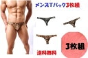 【即出荷】送料無料メンズT バック ブリーフ 3枚組 選べる3柄セクシーなインナー 自慢の一品 ひそかな楽しみ 豊富なサイズM/L/XL/XXL 送料無料メンズ...